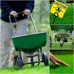 landscaper spraying lawn chemicals