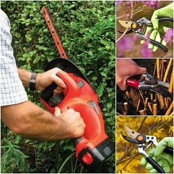 landscaping business pruning shrubs